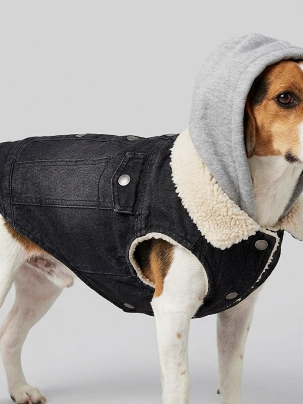 Isaac Mizrahi dog black Jean jacket size small